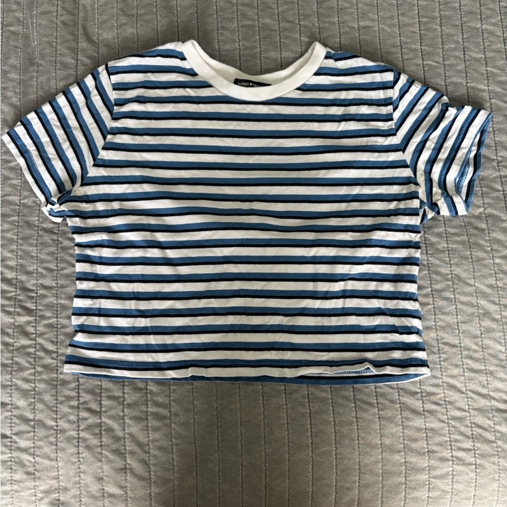 Brandy Melville Navy and White Striped Cropped Tee